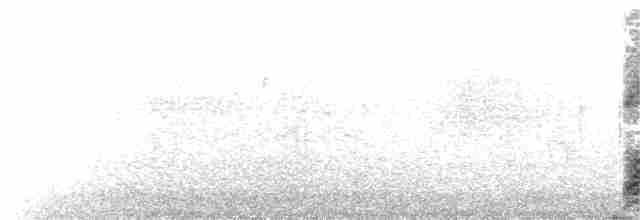 Kara Leş Kargası - ML369803591