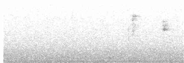 Black-crested Warbler - ML369828421