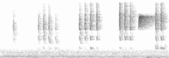 kalypta rubínohrdlá - ML369915271