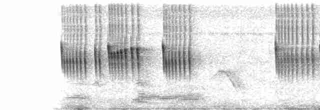Мухолов-клинодзьоб сірий - ML369919821