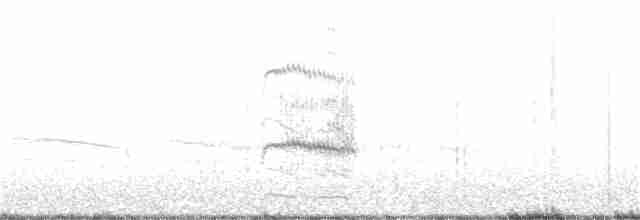 Common Tern - ML369947881