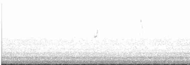 Gray Wagtail - ML369980351