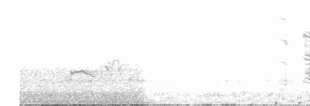 Australian Reed Warbler - ML370156941