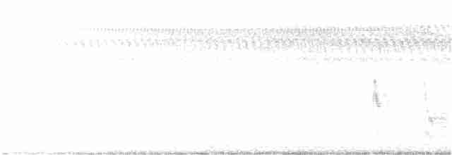 White-eyed Vireo - ML370260191