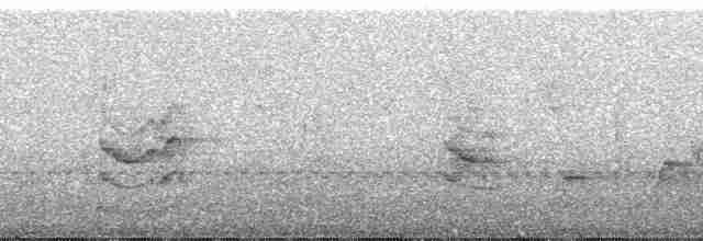 Зелоноголовая нектарница - ML37048