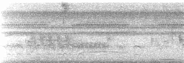 Декол плямистоволий (підвид melanochloros/nattereri) - ML370482841