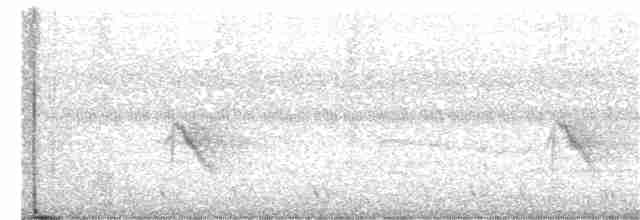 Gri Yanaklı Bülbül Ardıcı - ML370505951