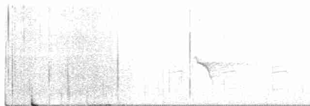 Evening Grosbeak (type 1) - ML370637431