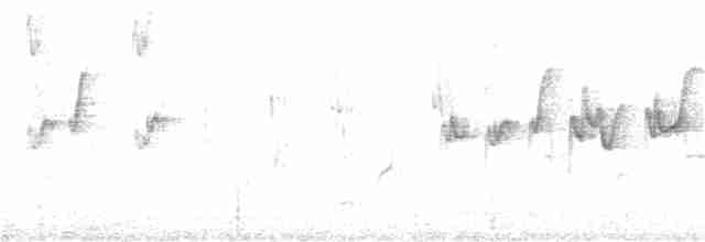 Spotless Crake - ML370646991