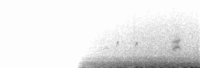 White-winged Tern - ML370657131