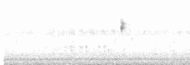 Arctic Warbler - ML370667271