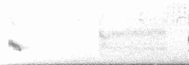 ムラサキツバメ（hesperia） - ML370786281