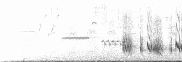 Büyük Mor Kırlangıç (hesperia) - ML370787231