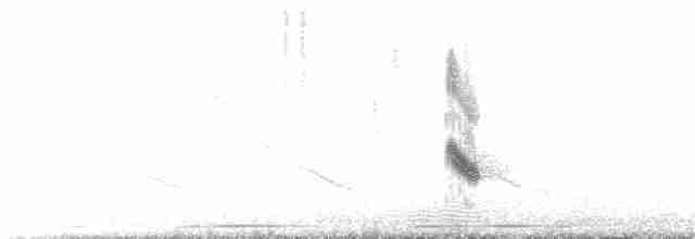 Golondrina Purpúrea (hesperia) - ML370788111