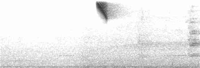 Gök Kuyruklu Ormanperisi - ML370811881