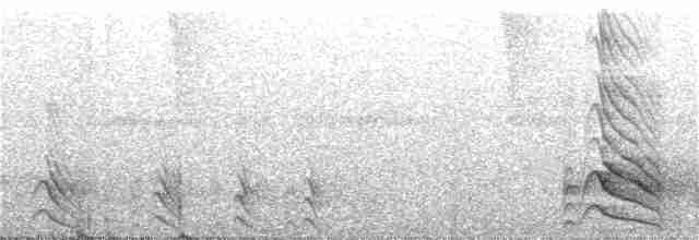 Beyaz Kuyruklu Ketzal - ML370818711