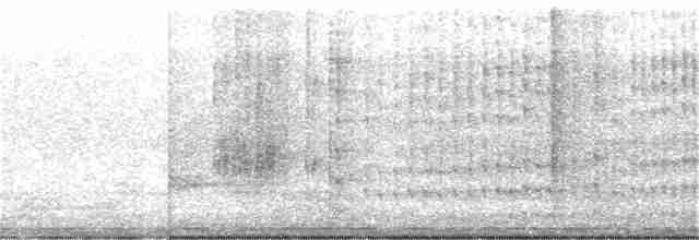 Тиран-інка буроголовий - ML370832761
