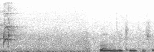 Gray-headed Kingfisher - ML37091