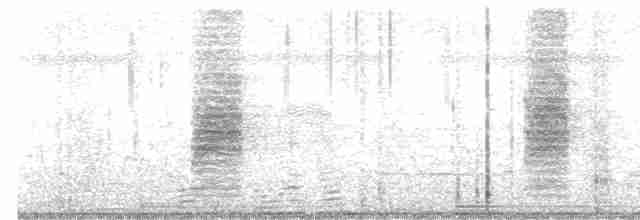 Long-tailed Shrike - ML371002331