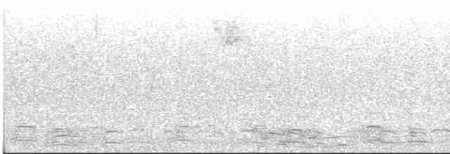 Snow Goose - Michel Robert