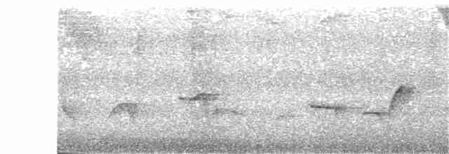 Серогрудый крапивник - ML371073421