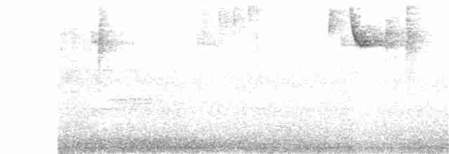 Black-cheeked Warbler - ML371073541