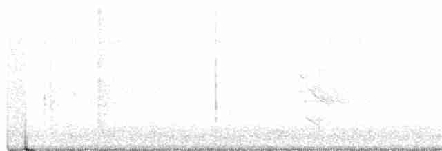 Sängervireo (gilvus) - ML371115221