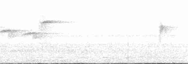 hvitbukelminia (albiventris) - ML37118751