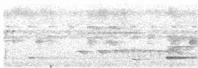 Rufous-margined Antwren - ML371193661