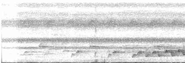 Серогорлый никатор - ML37120981