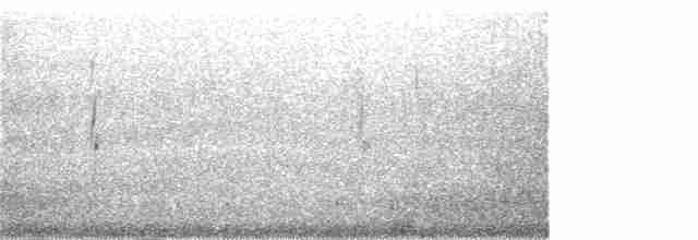 Bécasseau sanderling - ML371223501