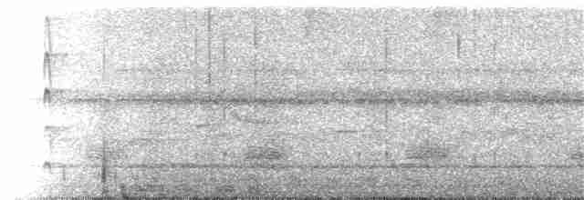Синелобая якамара - ML371247761