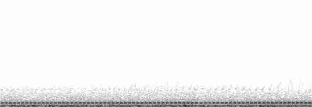 Триперстка смугаста - ML371281441
