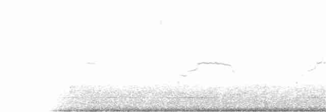 racek stříbřitý (ssp. smithsonianus) - ML371291631
