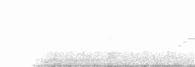 gråmåke (smithsonianus) (amerikagråmåke) - ML371291641