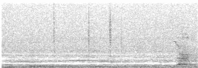 Colibri vesper - ML371341971