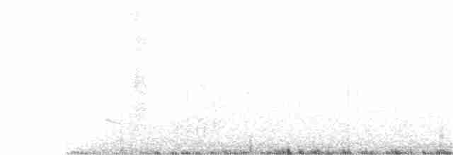 Малая кукушка-подорожник - ML371561791