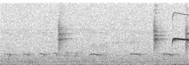 Тиранчик-тонкодзьоб південний - ML371687731