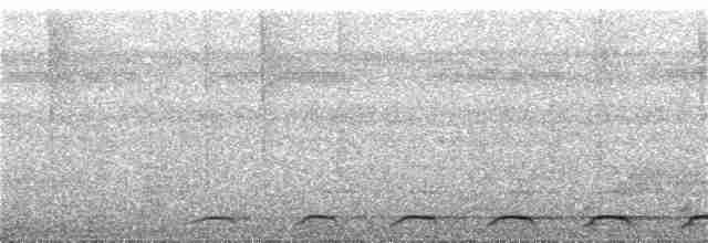 Black-tailed Trogon - ML371690341