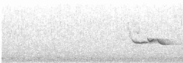 White-tailed Iora - ML371780091