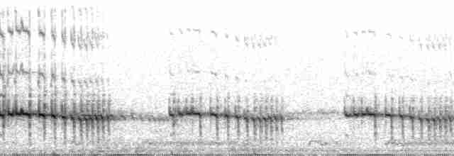 Striped Kingfisher - ML37198