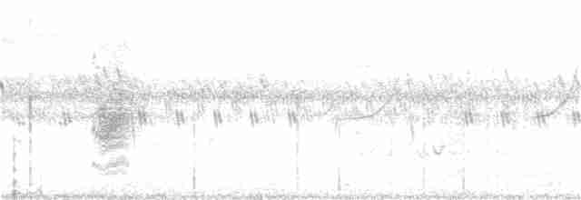 Long-tailed Shrike - ML371998531