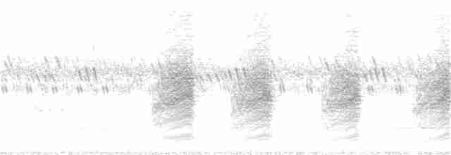 Long-tailed Shrike - ML371999531