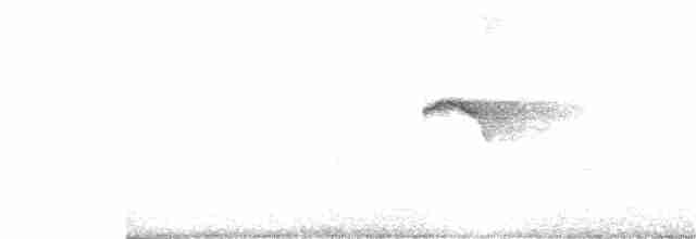 Тапіранга білодзьоба - ML372000711