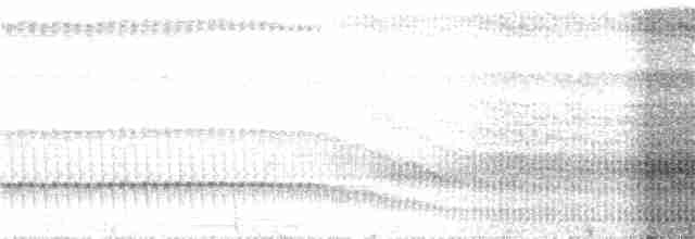 Zimtbürzel-Blattspäher - ML372118531