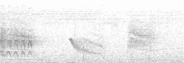 Rufous-throated Antbird - ML372120571