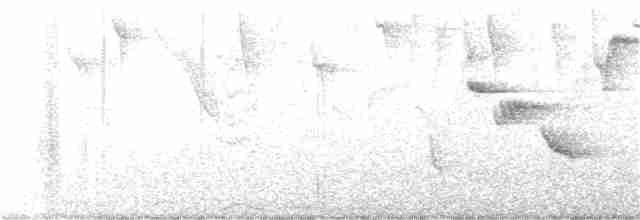 Turuncu Gagalı Bülbül Ardıcı - ML372169041