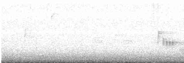 White-eyed Vireo - ML372217861