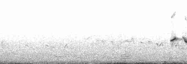Miombo Çalı Bülbülü - ML37225