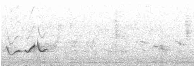 White-tailed Iora - ML372302761